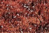 Glittering, Ruby Red Vanadinite Crystals on Barite - Morocco #278228-2